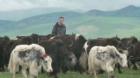 Himalaya With Michael Palin